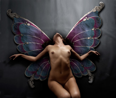 butterfly1